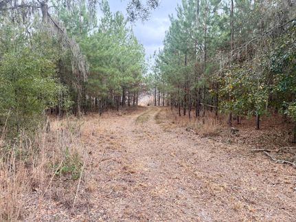 Farm Property for sale in Madison County, Florida