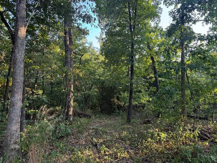 Residential Property for sale in Madison County, Missouri