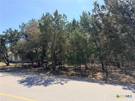 Undeveloped Land for sale in Travis County, Texas