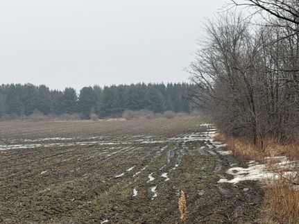 Farm Property for sale in Sanilac County, Michigan