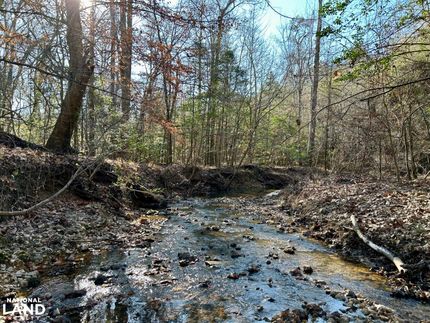 Recreational Property for sale in Choctaw County, Alabama