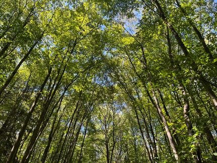 Farm Property for sale in Warren County, Pennsylvania