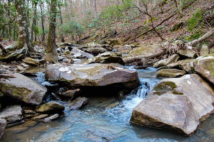 Ranch Property for sale in Tuscaloosa County, Alabama