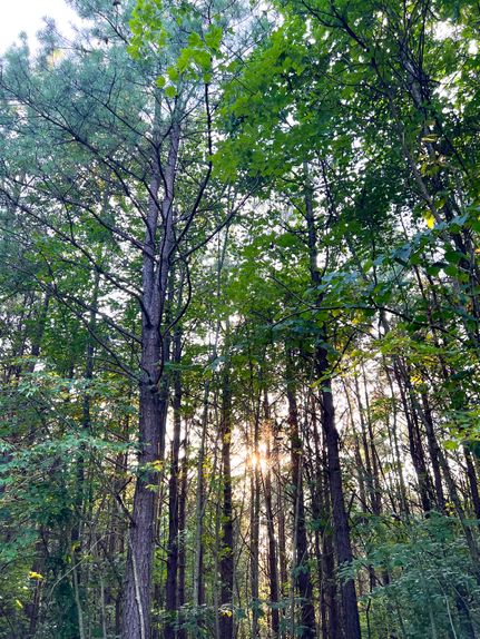 Ranch Property for sale in Hocking County, Ohio