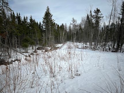 Farm Property for sale in Aroostook County, Maine