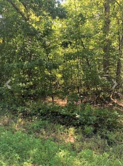 Ranch Property for sale in Coffee County, Tennessee