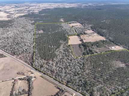 Hunting Land for sale in Trinity County, Texas