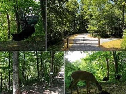 Farm Property for sale in Meigs County, Ohio