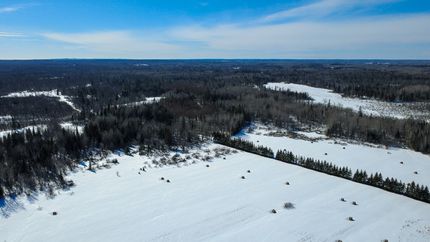 Timberland Property for sale in Price County, Wisconsin