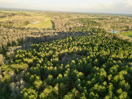Timberland Property for sale in Pike County, Alabama