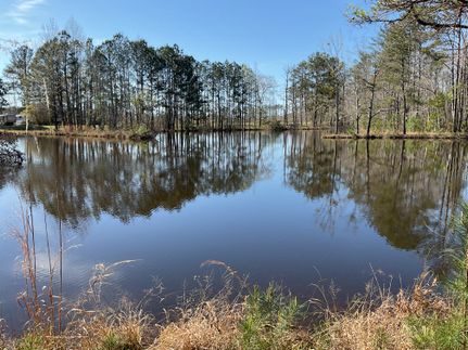 Ranch Property for sale in Butler County, Alabama