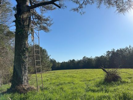 Recreational Property for sale in Simpson County, Mississippi