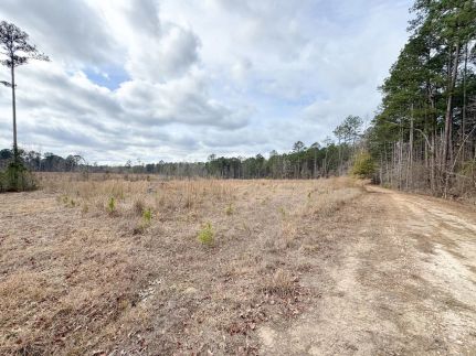 Recreational Property for sale in Ouachita County, Arkansas