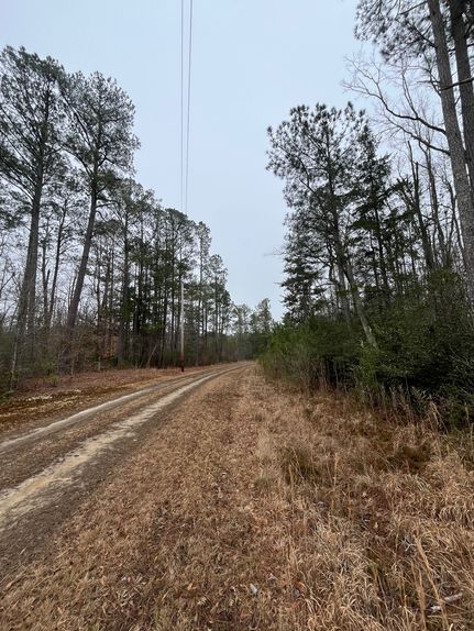 Timberland Property for sale in Gates County, North Carolina