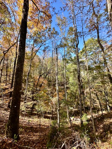 Farm Property for sale in Barbour County, Alabama