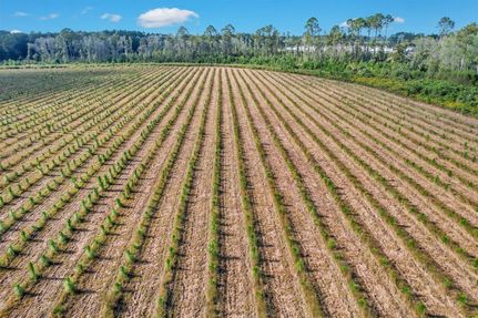 Farm Property for sale in Appling County, Georgia