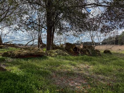 Hunting Land for sale in Baker County, Georgia