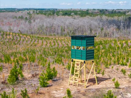 Farm Property for sale in Wilkinson County, Georgia