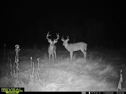 Farm Property for sale in Meigs County, Ohio