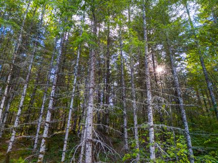 Farm Property for sale in Yamhill County, Oregon