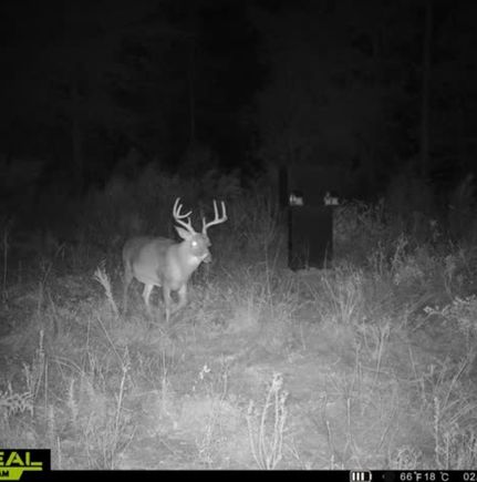 Ranch Property for sale in Barbour County, Alabama