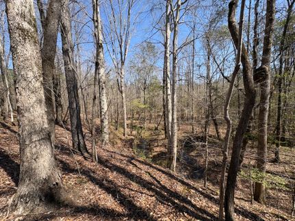 Farm Property for sale in Lee County, Alabama