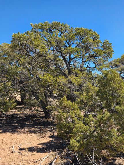 Farm Property for sale in Duchesne County, Utah