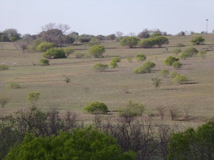 Ranch Property for sale in Fayette County, Texas