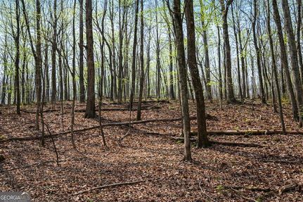 Ranch Property for sale in Habersham County, Georgia