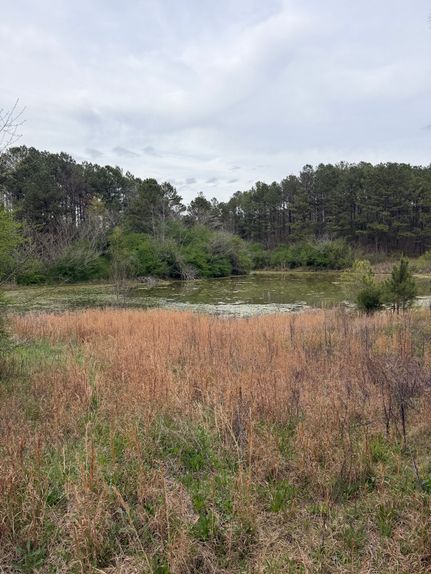 Farm Property for sale in Bibb County, Alabama