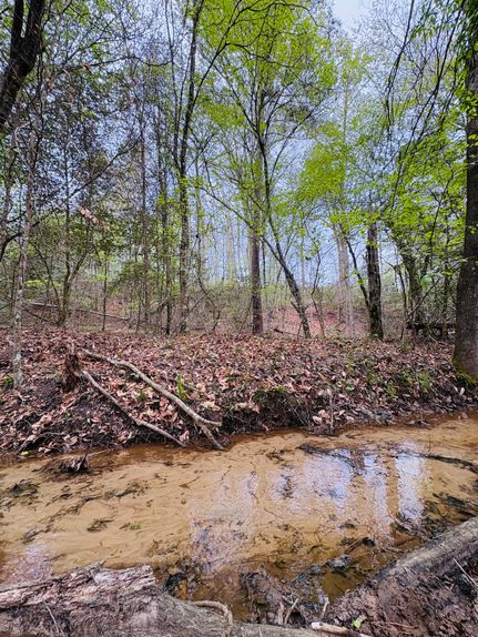 Recreational Property for sale in Shelby County, Texas