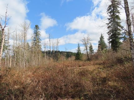 Residential Property for sale in Lewis County, Washington