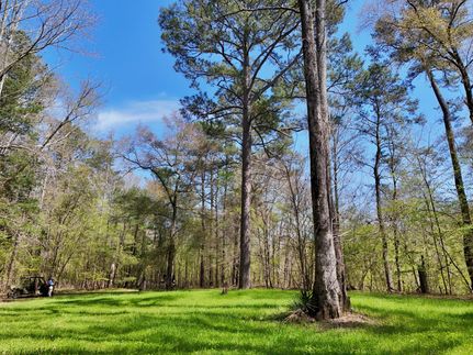 Farm Property for sale in Dallas County, Alabama