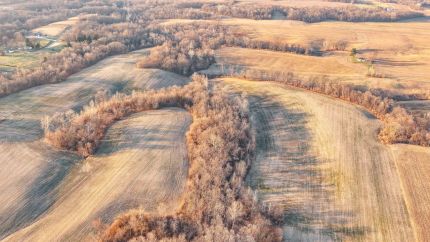 Farm Property for sale in Scott County, Illinois