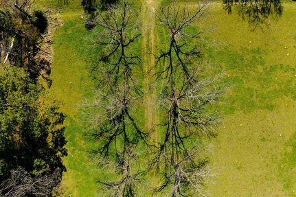 Farm Property for sale in Simpson County, Mississippi