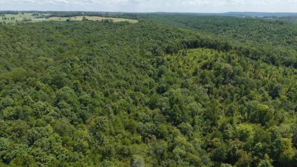 Ranch Property for sale in Sevier County, Arkansas