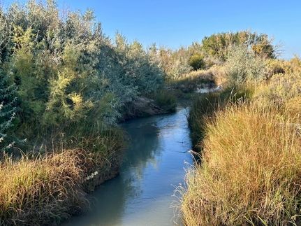 Farm Property for sale in Big Horn County, Wyoming