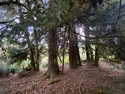 Farm Property for sale in Clatsop County, Oregon