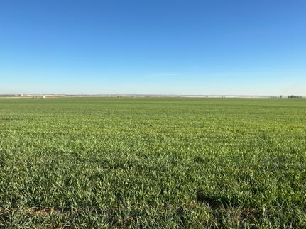 Undeveloped Land for sale in Caddo County, Oklahoma