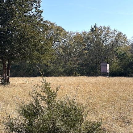Timberland Property for sale in Leon County, Texas