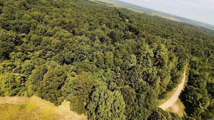 Farm Property for sale in Clay County, Arkansas