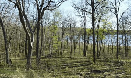 Farm Property for sale in Todd County, Minnesota