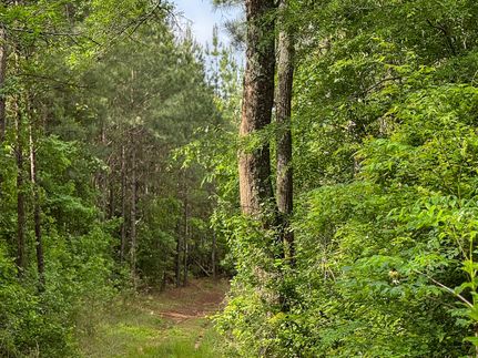 Farm Property for sale in Nevada County, Arkansas