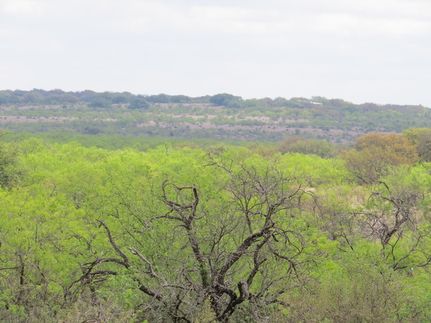 Timberland Property for sale in Menard County, Texas