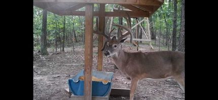 Residential Property for sale in Scioto County, Ohio