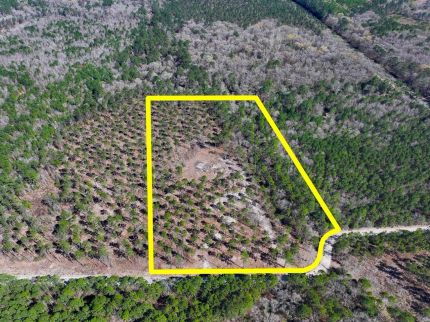 Farm Property for sale in Trinity County, Texas