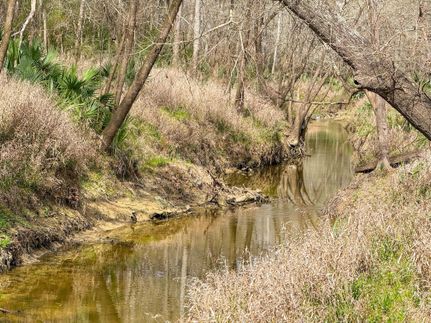 Ranch Property for sale in Liberty County, Texas