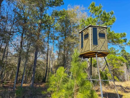 Farm Property for sale in Liberty County, Texas