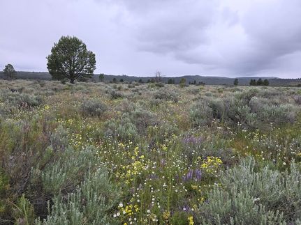 Farm Property for sale in Klamath County, Oregon