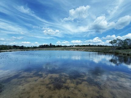 Ranch Property for sale in Leon County, Texas